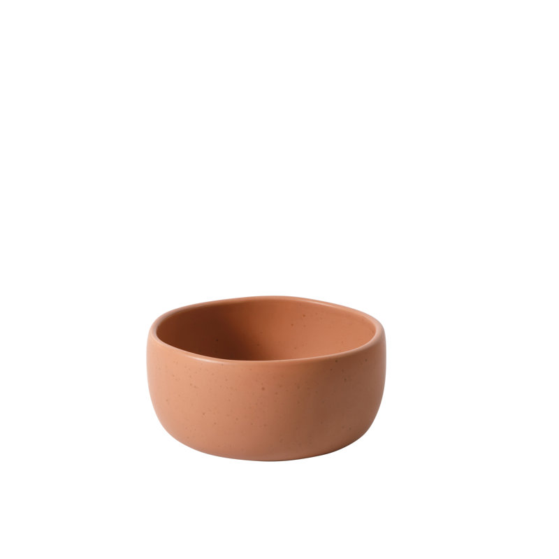 Bloomhouse Corcisa Clay 12 Piece Stoneware Reactive Glaze Dinnerware Set - Prosecco Blush Pink, Brown