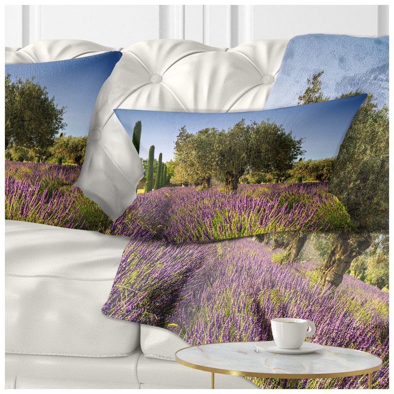 Coussin magnifique lavande et olivier