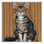  Tapis lavable pour chats Tennessee Rex-1159521198