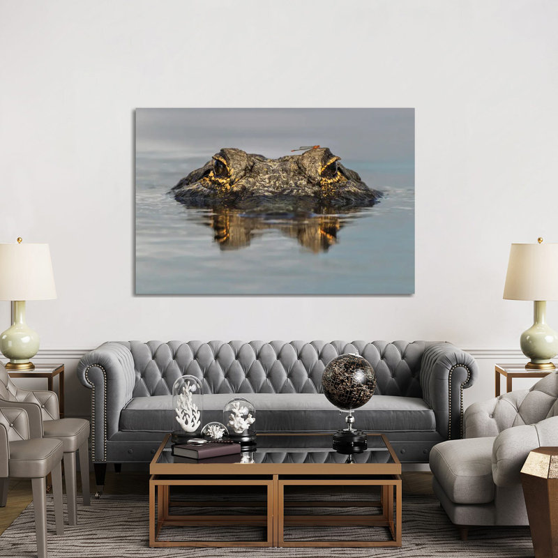 American Alligator From Eye Level With Water, Myakka River State Park, Florida by Adam Jones - No Frame Gallery-Wrapped Canvas Giclée on Canvas
