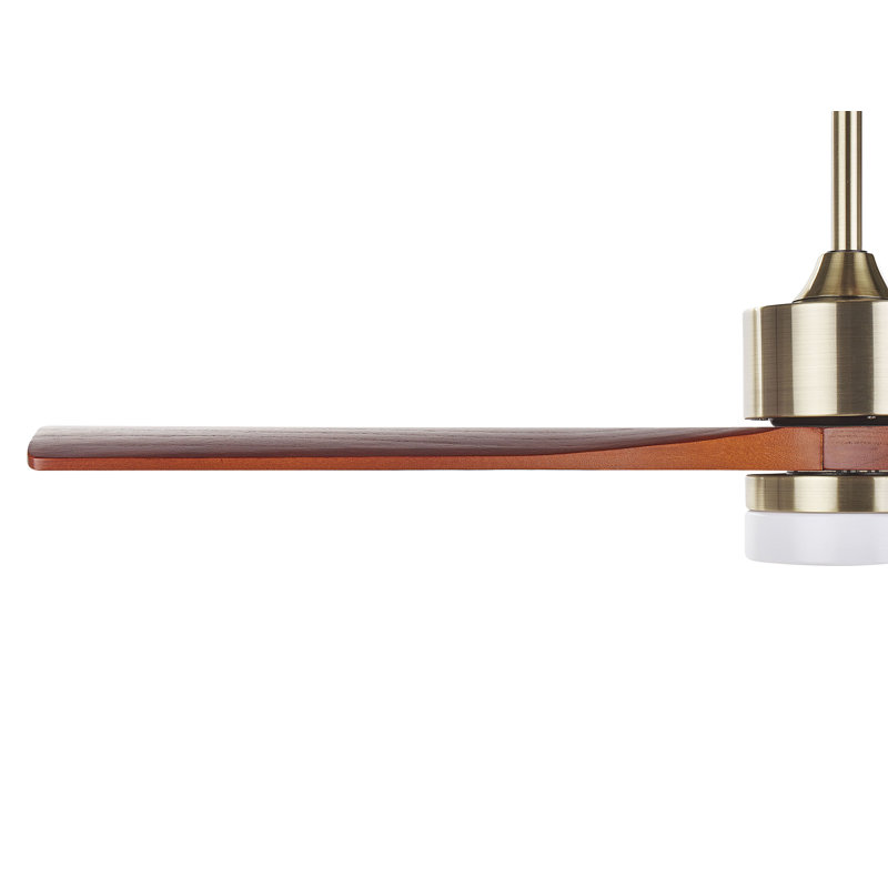 Kaytrin 130cm Ceiling Fan with LED Lights