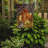 Fast Forward Double Sided 15'' H x 11'' W Polyester Animal Garden Flag