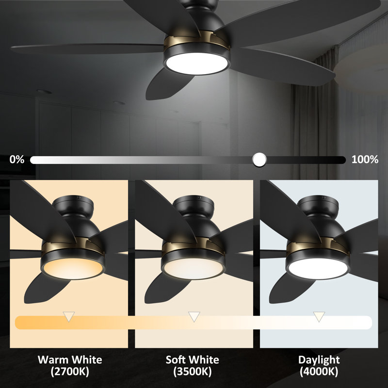 Mariyanka 48'' Ceiling Fan with LED Lights, Black