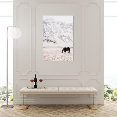 " Wild Mountain Horse "