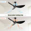 52 Inch Indoor Ceiling Fan No Light With 6 Speed Remote Control 3 Abs Blades Reversible Dc Motor-1688560907-1688560900
