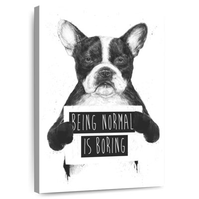 Tergel être normal, c'est ennuyeux