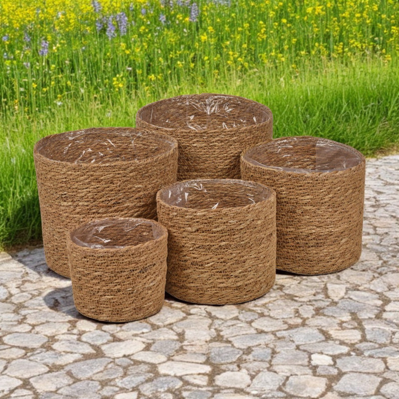Brambly Cottage Seagrass Decorative Basket