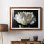 Pivoine blanche - reproduction de photo encadrée sur papier-1607024175-1607024172