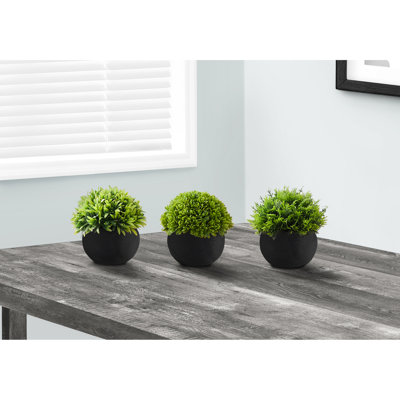 Ensemble de 3 plantes d'intérieur pour plantes d'intérieur, vert luxuriant, 5 pouces