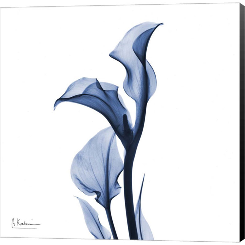 "Indigo Calla Lily" par Albert Koetsier, art mural sur toile