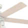 52" Hardwick 5 - Blade Standard Ceiling Fan with Remote Control and Light Kit Included
