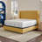 Sealy Dreamlife 3” Medium-Soft Gel Memory Foam Mattress Topper + 1” Quilted Cooling Cover-99280927
