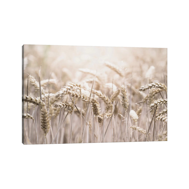 Wheat 1 Piece Wrapped Canvas Wall Art, 101.6 cm H x 66.04 cm W x 1.91 cm D