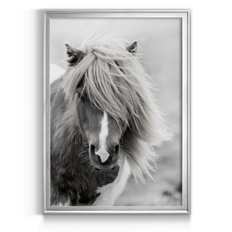 Shetland Summer par J Paul - reproduction de photo sur toile encadrée, H 26,5 po x l 36,5 po x P 1,5 po, Argent