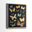 Collectionner Flutter III - reproduction encadrée de qualité supérieure - prête à être accrochée - aucun clou requis - aucun clou requis-64670116-64670117