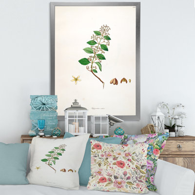 Vintage Botanicals I - peinture sur toile