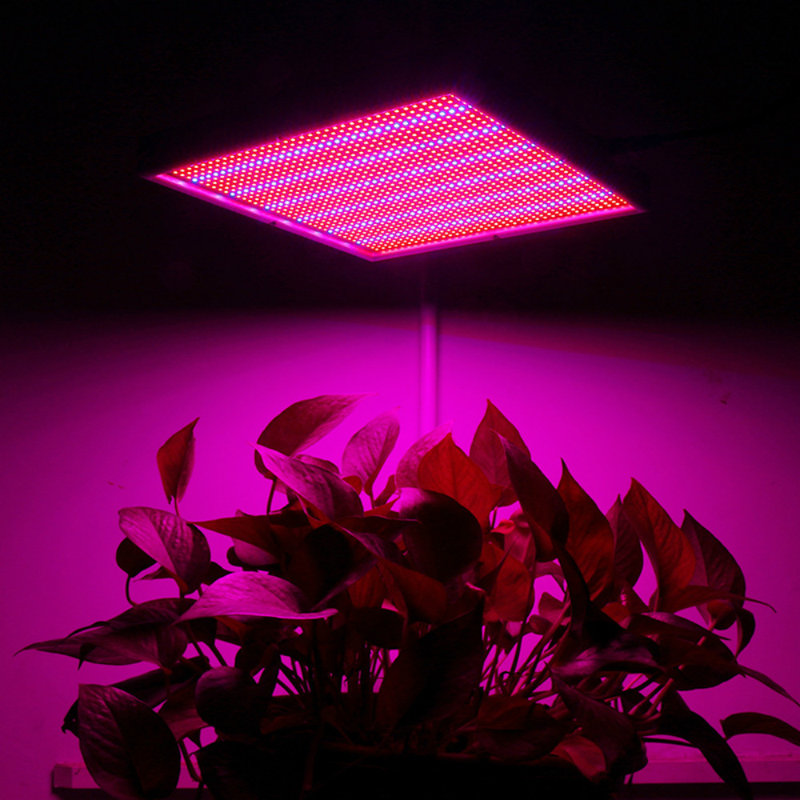 Insma Grow Light