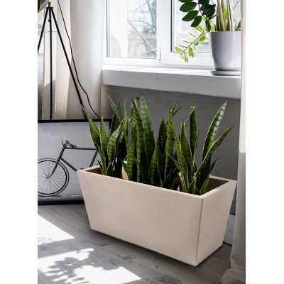 Planter Box