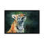 « tiger cub look up », impression sur toile-33109933-72398505-72398506