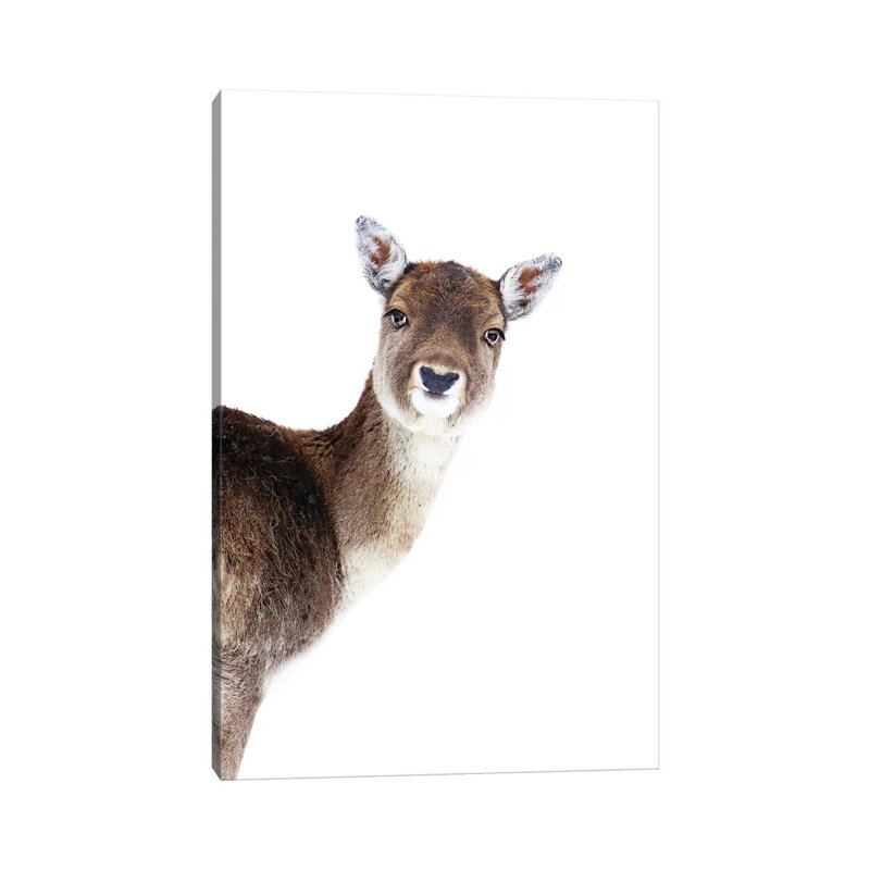 Deer Peekaboo 1 Piece Wrapped Canvas Wall Art, 30.48 cm H x 45.72 cm W