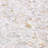 Pacif 0.39" x 0.79" Seashell Mosaic Wall Tile