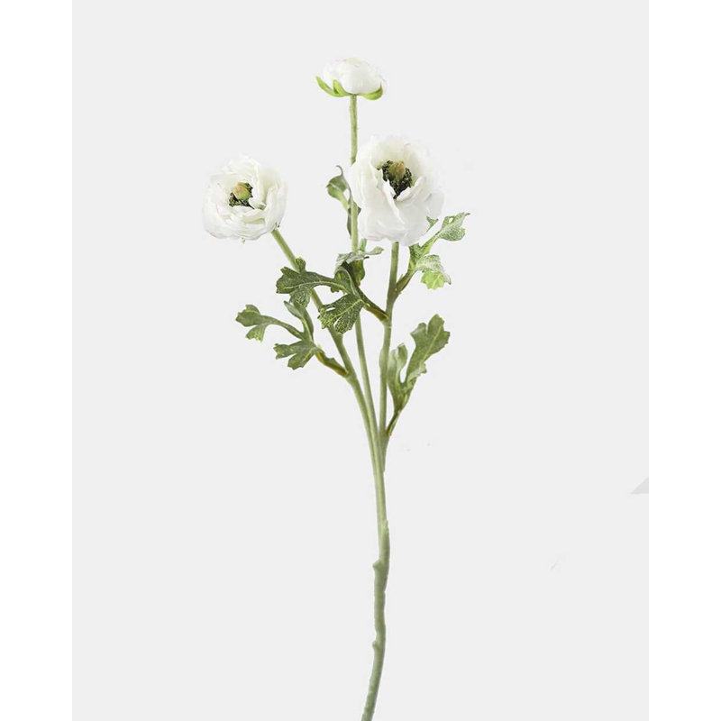 White Ranunculus 18.5"