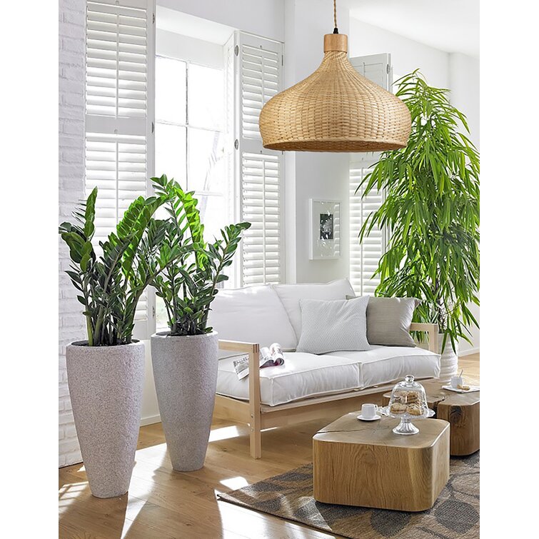 Allmon 1 - Light Single Dome Pendant