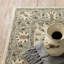 Tapis oriental beige / gris Caryll-189785024