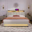 Queen Size Upholstered Platform Bed With A Hydraulic Storage System, LED And USB Charging-834844731-834844729