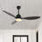 Clarra 52'' Ceiling Fan with LED Lights-1890635352