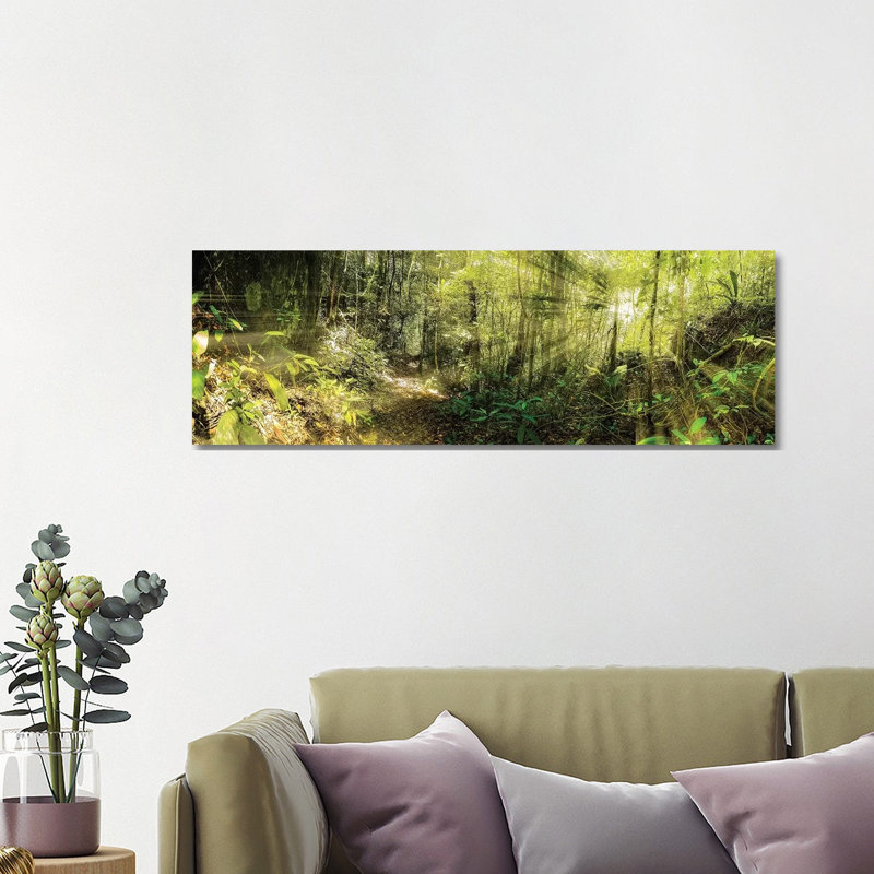 Tropical Forest XI by Glauco Meneghelli - Wrapped Canvas Panoramic Print, 40.64cm H x 121.92cm W x 1.9cm D