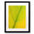Black Framed Paper is unavailable