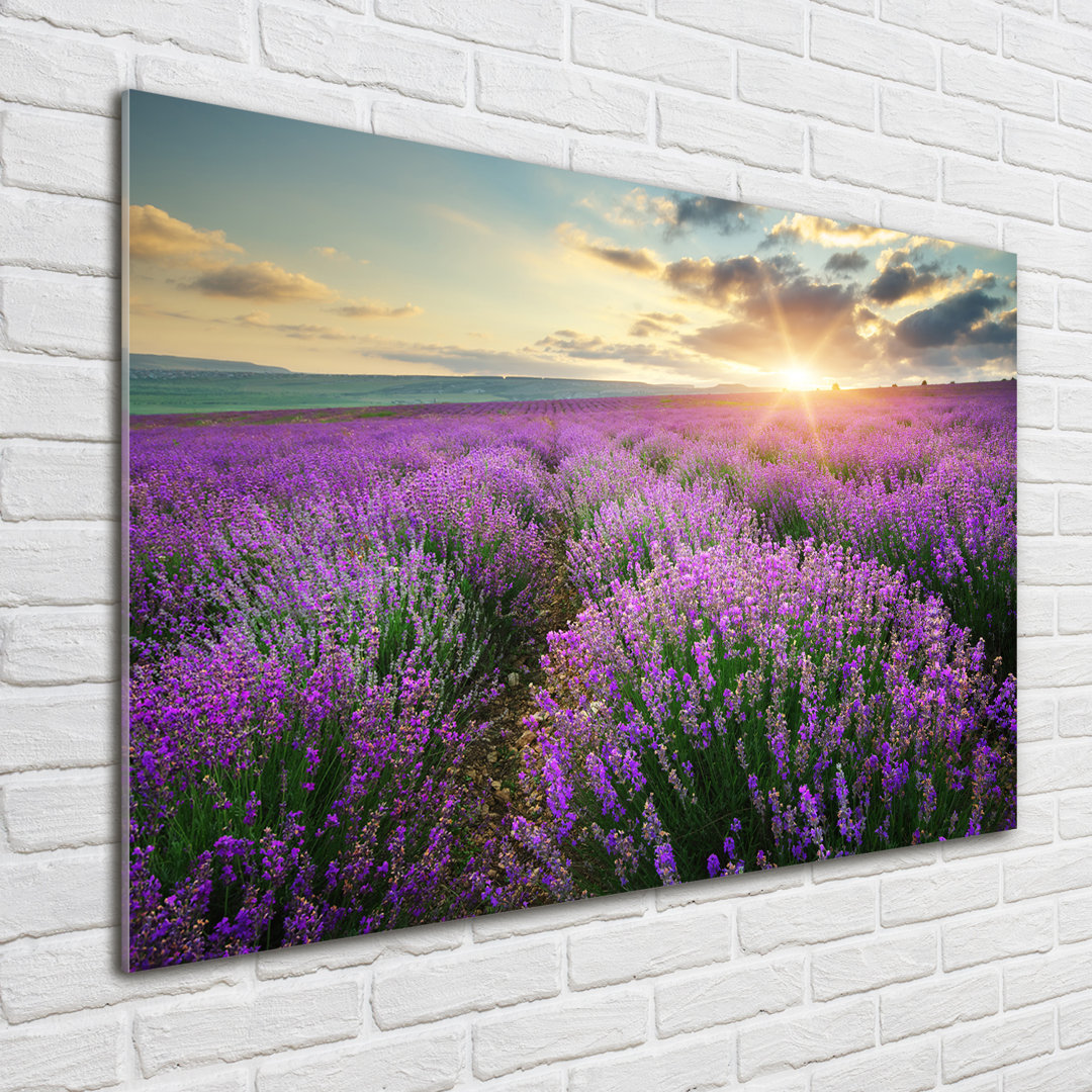 Lavender Field - No Frame Print on Glass