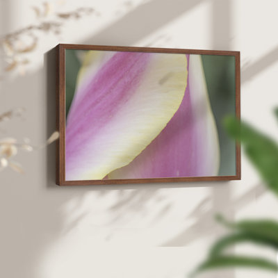 Delicate -Framed Print - Restickable