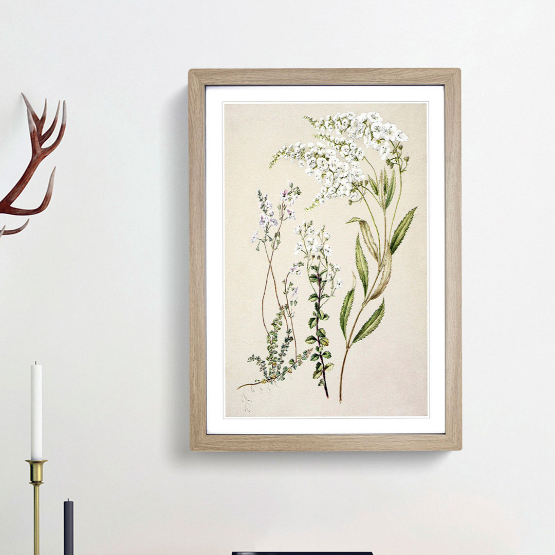 Veronica Flowers by Sarah Featon - Picture Frame Painting Print