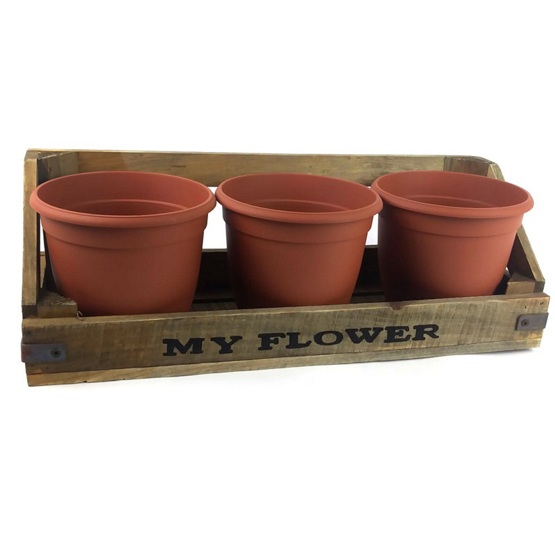 Dash Wall Planter