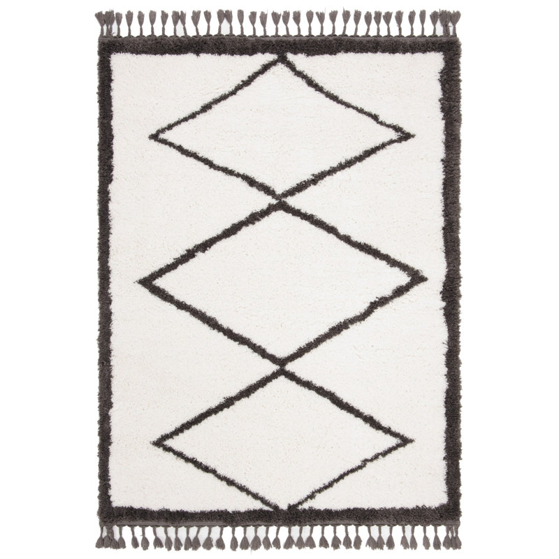 Tapis à poils longs Allon, Rectangle 4 pi x 6 pi