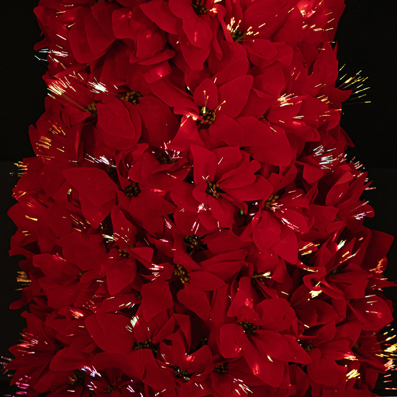 Arbre de Noël pré-éclairé à fibre optique rouge changeant de couleur poinsettia - 6 pi