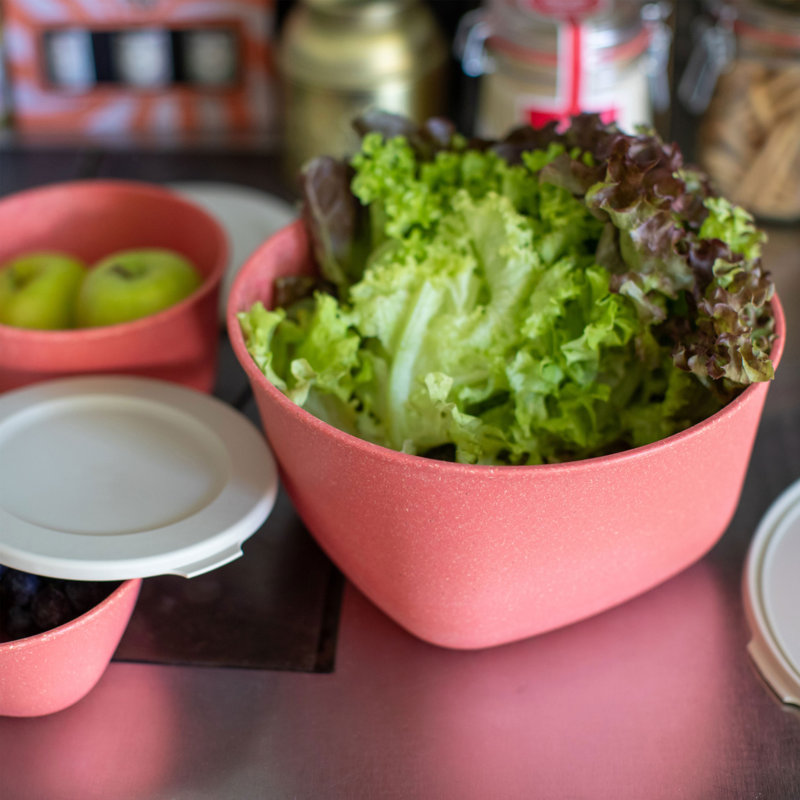 Koziol Organic Circular Plastic Decorative Bin