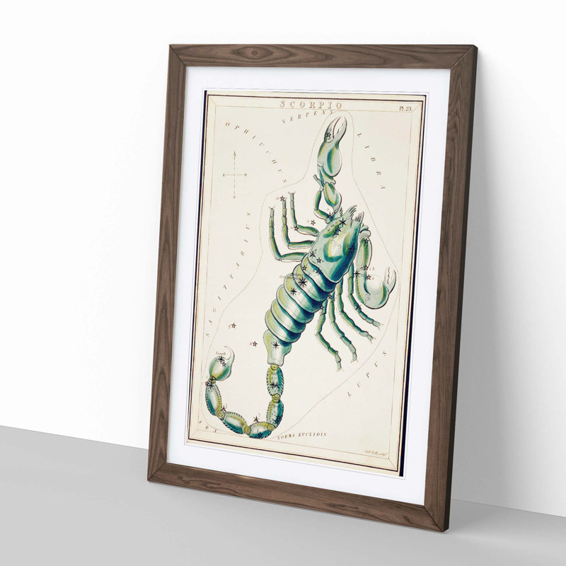 Astronomical Zodiac Chart of the Scorpio 1 Piece Single Picture Frame Painting, 45cm H x 33cm W x 2cm D, Walnut