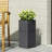 PLANTER