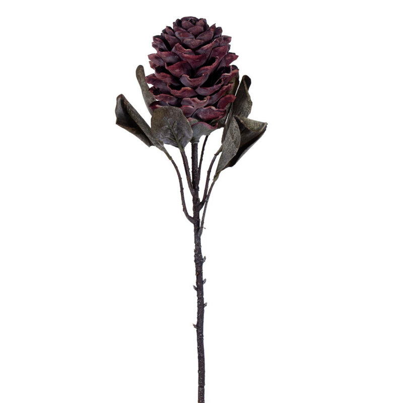 22 plantes, Rouge