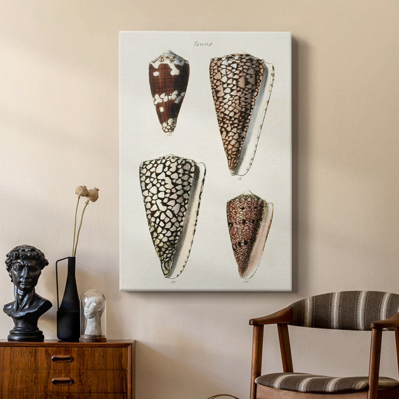 Collection Cone Shell I - galerie sur mesure, H 12 po x l 8 po