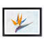 Bird Of Paradise Flower Painting - Single Picture Frame Print on MDF-56633989-56633996