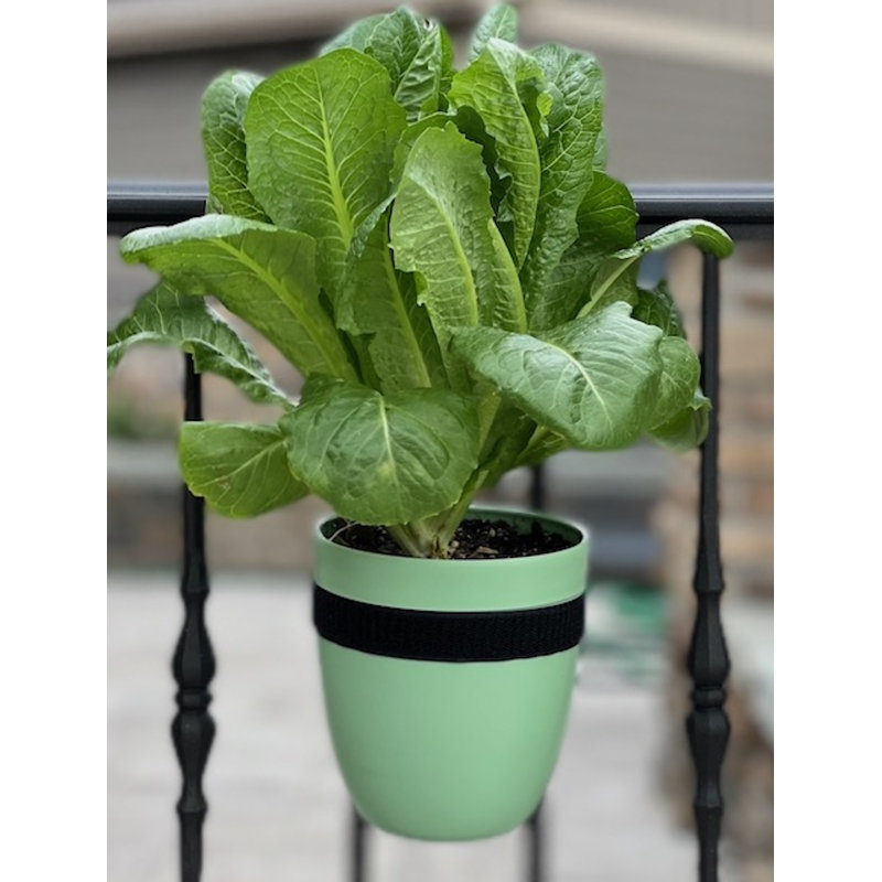 Ethelwyn Railing Planter, Green