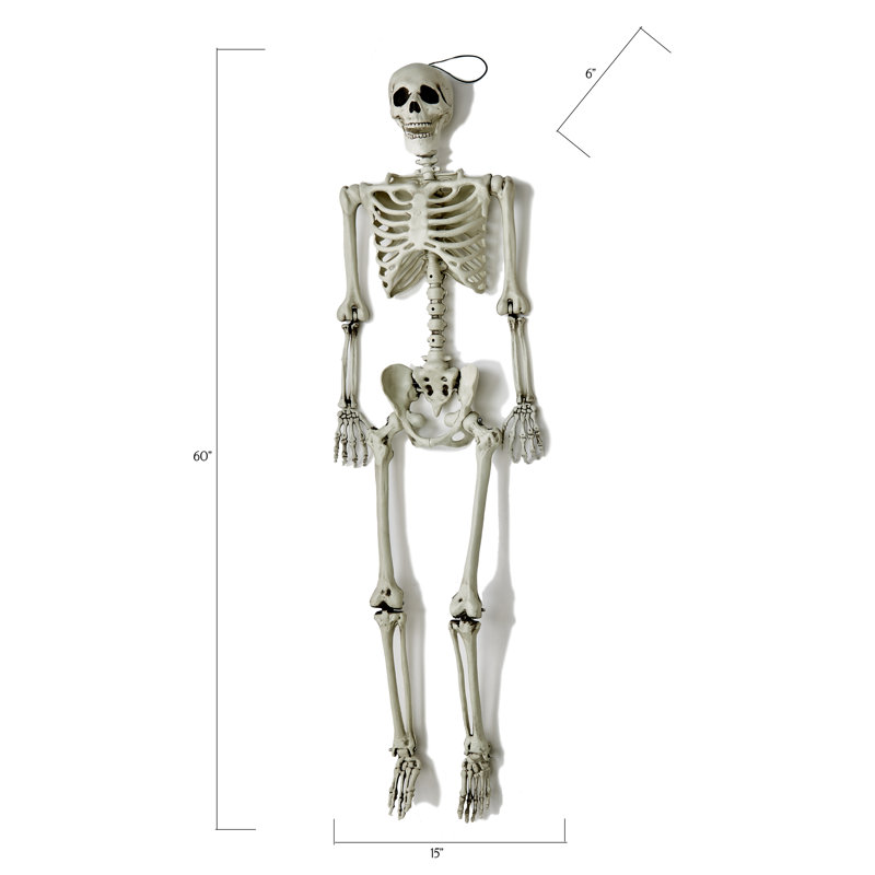 Squelette suspendue taille de vie