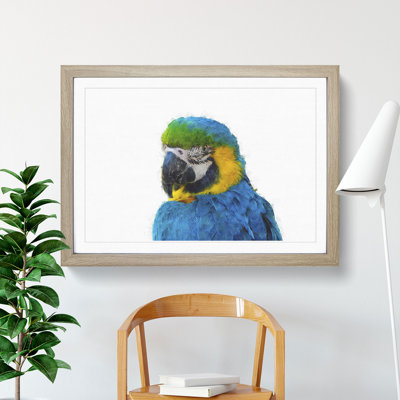 Blue & Yellow Macaw Parrot Painting - Single Picture Frame Print on MDF