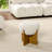 Sharita Upholstered Ottoman