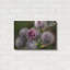 «Autumn 09» par Gordon Semmens-359366042