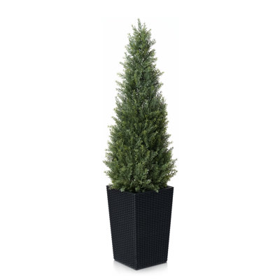 Topiaire de cèdre Adcock 4pi - faux cyprès résistant aux rayons UV avec grande jardinière et plantes décoratives